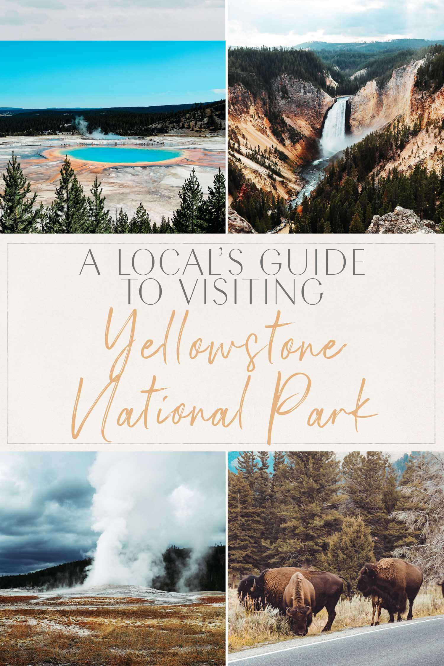 Local's Guide to Yellowstone National Park