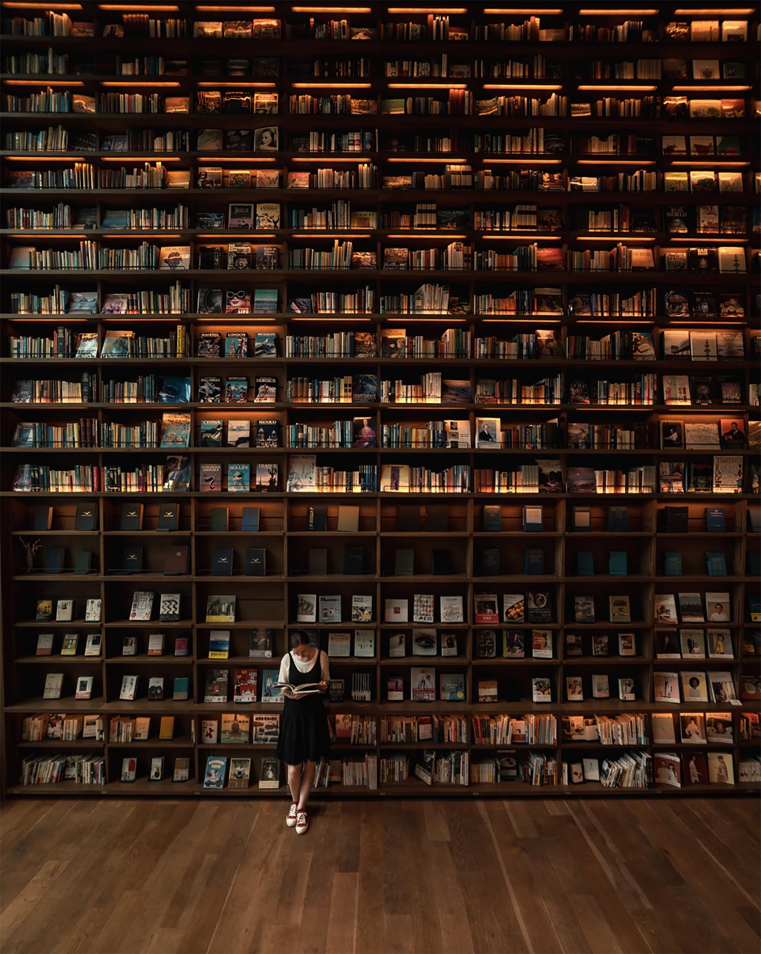 Osaka Book Shopping