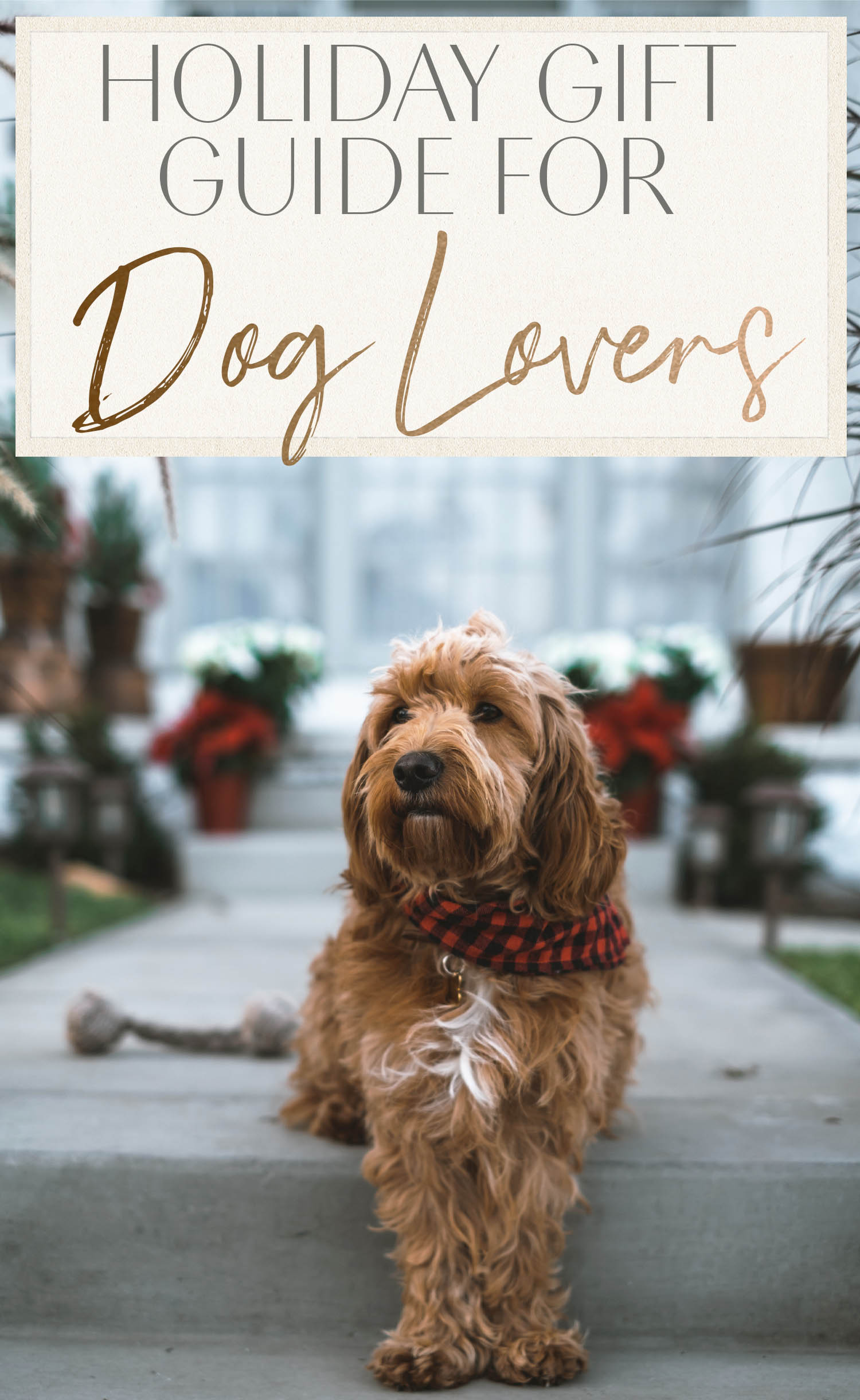 Holiday Gift Guide for Dog Lovers