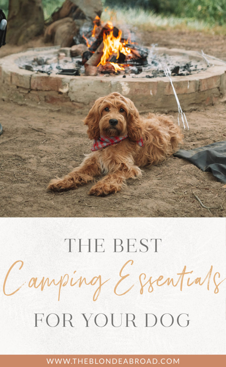 The Best Camping Essentials For Your Dog • The Blonde Abroad