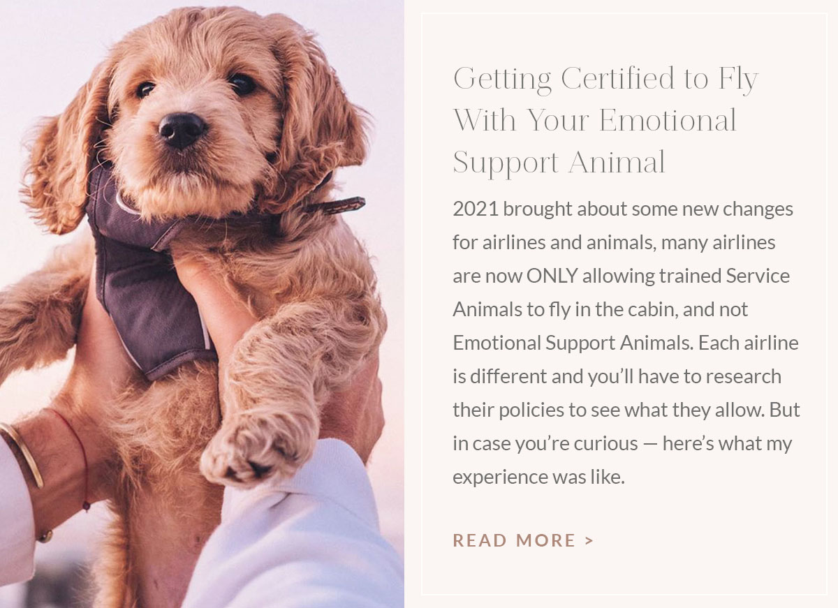 https://www.theblondeabroad.com/getting-certified-to-fly-emotional-support-animal/