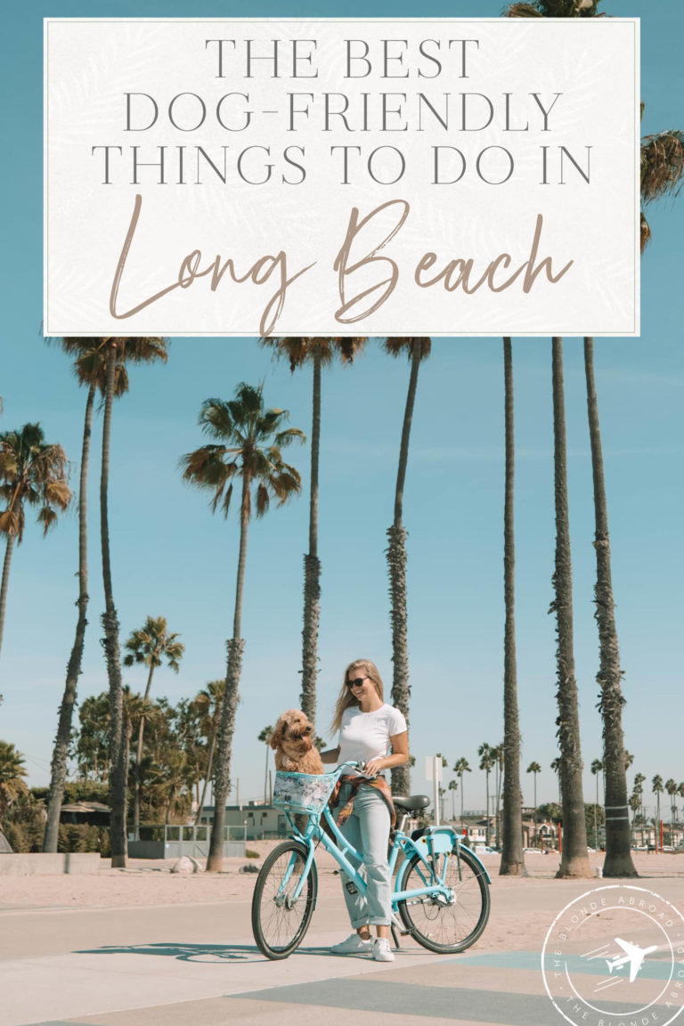 The Best DogFriendly Things To Do in Long Beach, California • The