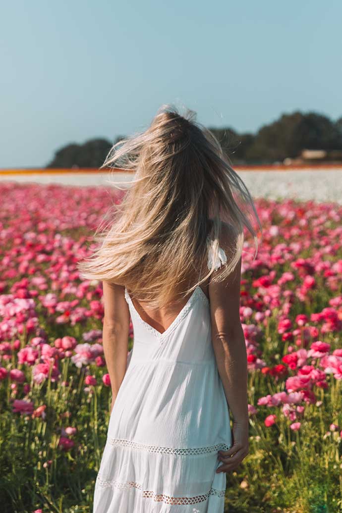 Tips for Visiting the Carlsbad Flower Fields • The Blonde Abroad