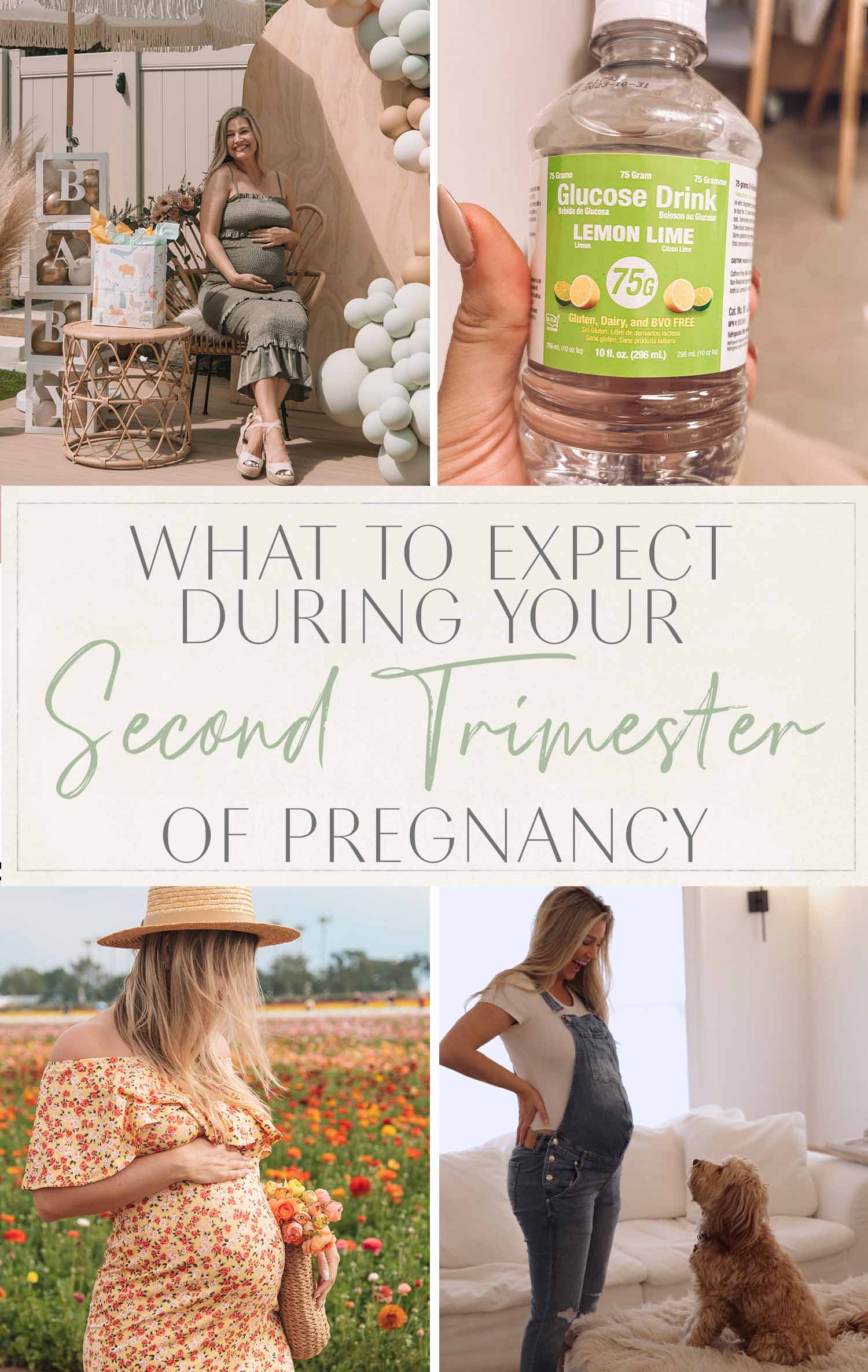 Your Second Trimester of Pregnancy