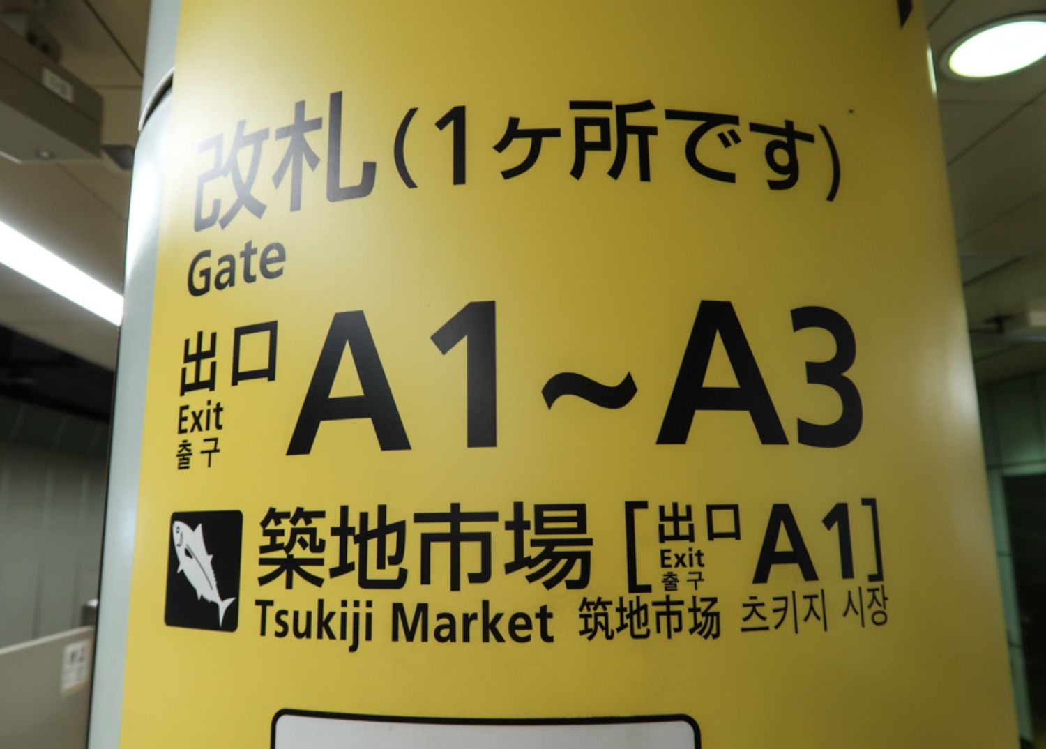 Tsukiji Fish market